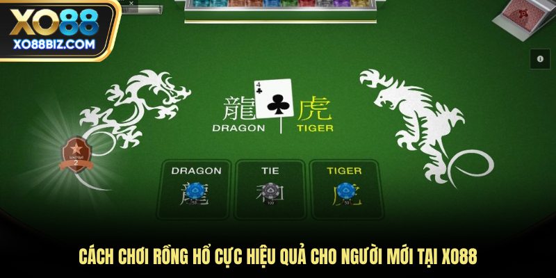 Cách chơi Rồng Hổ