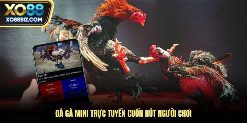 Đá Gà Mini trực tuyến cuốn hút người chơi