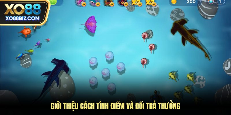 Giới thiệu cách tính điểm và đổi trả thưởng