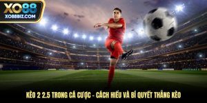 Kèo 2 2.5