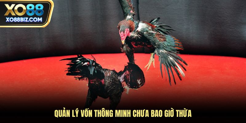 Quản lý vốn thông minh chưa bao giờ thừa