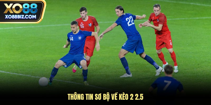 Thông tin sơ bộ về kèo 2 2.5