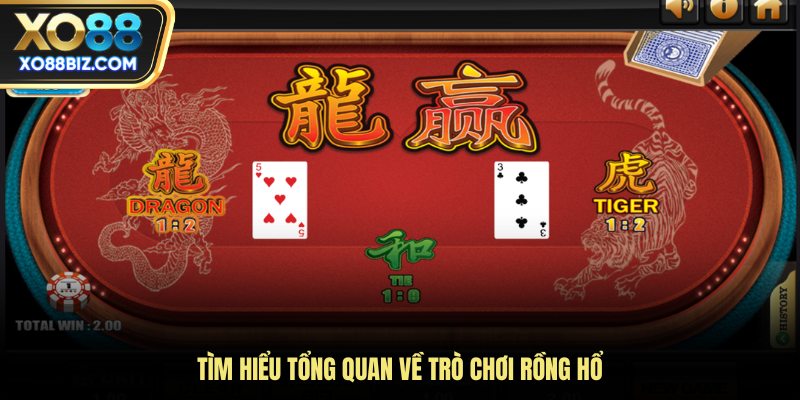 Tìm hiểu tổng quan về trò chơi rồng hổ