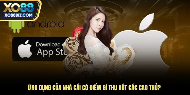 Ứng dụng của nhà cái có điểm gì thu hút các cao thủ?